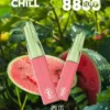 【台灣現貨】CHILL 鴨嘴獸 8800口 拋棄式電子煙 爆款熱銷 秒發免運