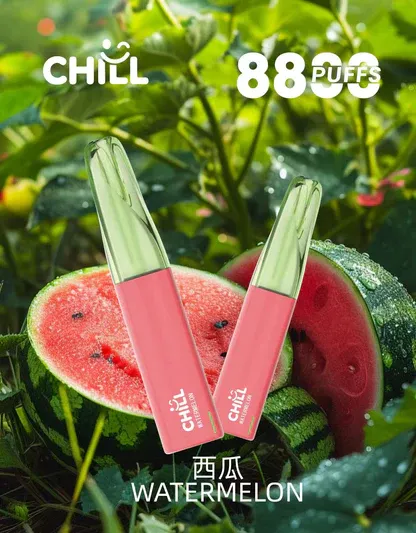 【台灣現貨】CHILL 鴨嘴獸 8800口 拋棄式電子煙 爆款熱銷 秒發免運