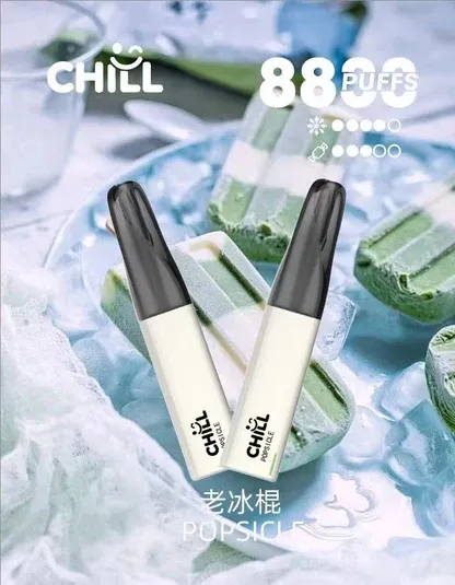 【台灣現貨】CHILL 鴨嘴獸 8800口 拋棄式電子煙 爆款熱銷 秒發免運