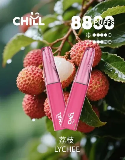【台灣現貨】CHILL 鴨嘴獸 8800口 拋棄式電子煙 爆款熱銷 秒發免運