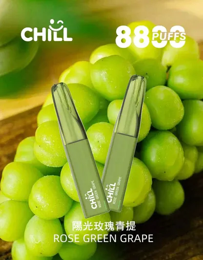 【台灣現貨】CHILL 鴨嘴獸 8800口 拋棄式電子煙 爆款熱銷 秒發免運