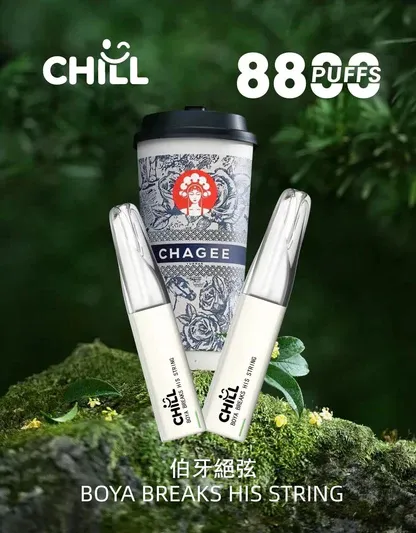【台灣現貨】CHILL 鴨嘴獸 8800口 拋棄式電子煙 爆款熱銷 秒發免運