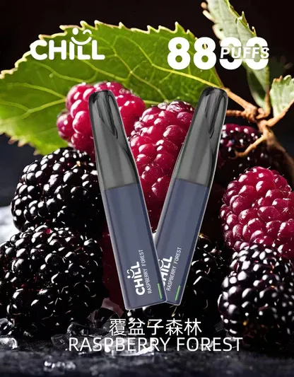 【台灣現貨】CHILL 鴨嘴獸 8800口 拋棄式電子煙 爆款熱銷 秒發免運