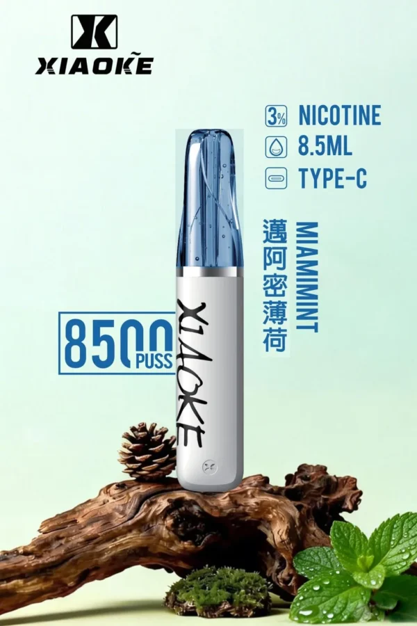 【台灣現貨】XIAOKE 梟客 8500口拋棄式電子煙 爆款熱銷 秒發免運 老手必備