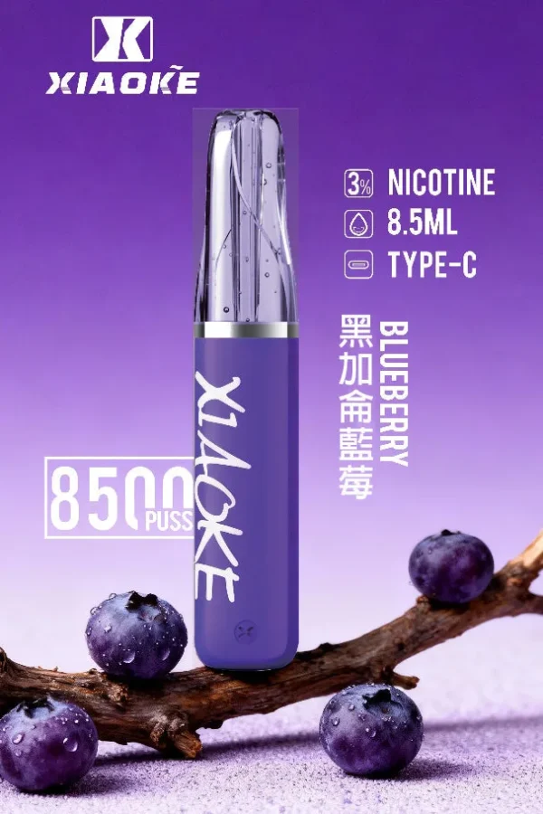 【台灣現貨】XIAOKE 梟客 8500口拋棄式電子煙 爆款熱銷 秒發免運 老手必備