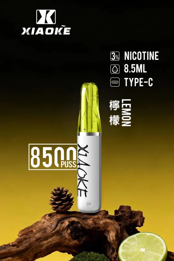 【台灣現貨】XIAOKE 梟客 8500口拋棄式電子煙 爆款熱銷 秒發免運 老手必備