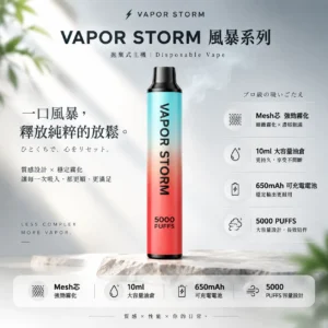 VAPOR STORM 風暴 5000口拋棄式電子煙｜Mesh芯強勁霧化 650mAh可充電 俐落金屬手感極致體驗